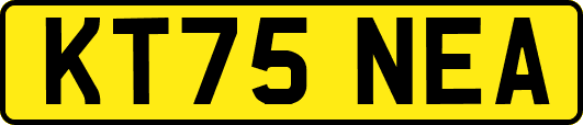 KT75NEA