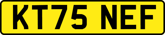 KT75NEF