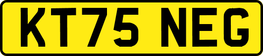 KT75NEG