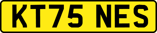 KT75NES