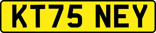 KT75NEY