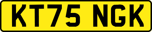 KT75NGK