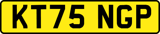 KT75NGP