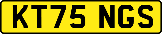 KT75NGS
