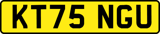 KT75NGU