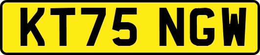 KT75NGW