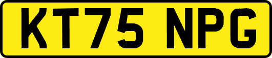 KT75NPG