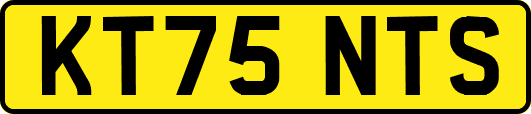 KT75NTS