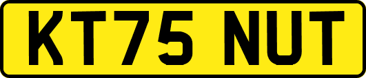 KT75NUT