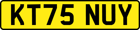 KT75NUY