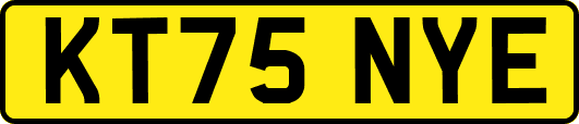 KT75NYE