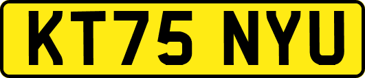 KT75NYU