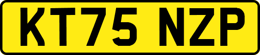 KT75NZP
