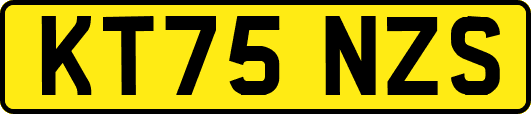 KT75NZS
