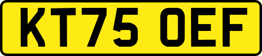 KT75OEF