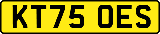 KT75OES
