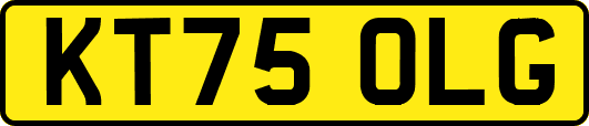 KT75OLG