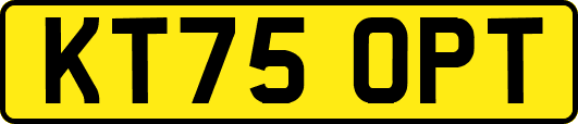 KT75OPT
