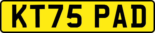 KT75PAD