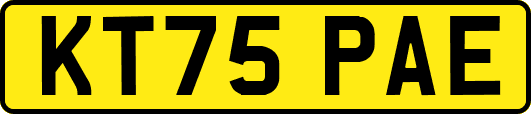 KT75PAE