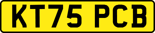 KT75PCB