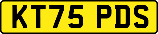 KT75PDS