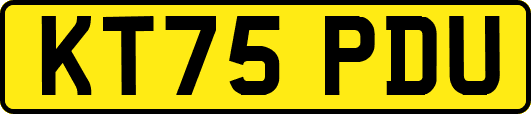KT75PDU