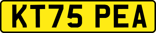 KT75PEA