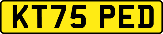 KT75PED