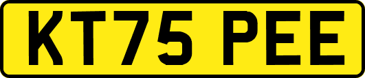 KT75PEE