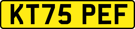 KT75PEF