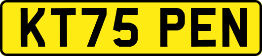 KT75PEN