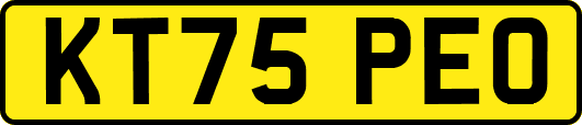 KT75PEO