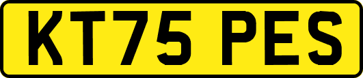 KT75PES