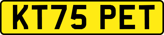 KT75PET