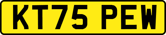 KT75PEW