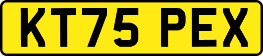 KT75PEX