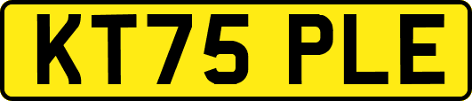 KT75PLE