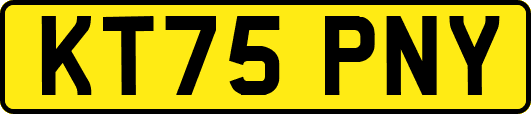 KT75PNY