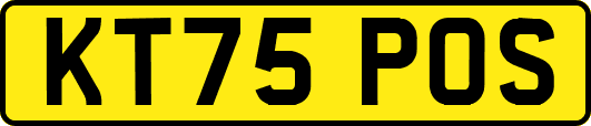 KT75POS
