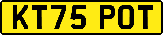 KT75POT