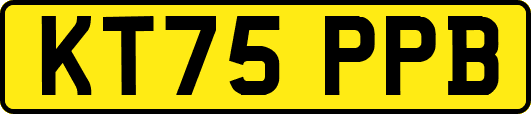 KT75PPB