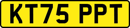 KT75PPT