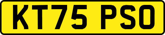 KT75PSO