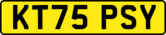 KT75PSY