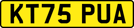 KT75PUA