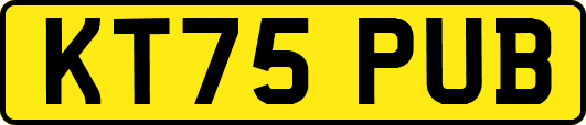 KT75PUB