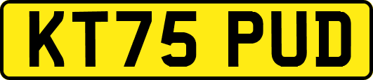 KT75PUD