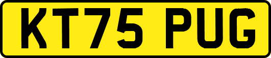KT75PUG