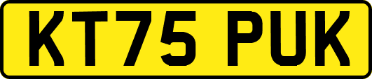 KT75PUK